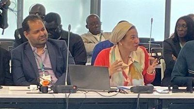 تفاصيل اجتماع وزيرة البيئة مع المجموعة الإفريقية