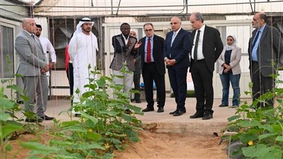 وزير الري يستعرض لوفد إماراتي مكونات مشروع الترابط بين المياه والغذاء والطاقة