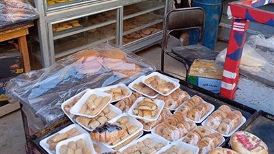 تحرير 450 محضر لمخابز وأنشطة مخالفة فى القليوبية 