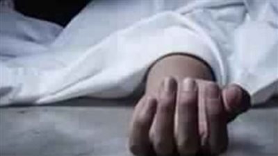 خناقة ستات تنتهي بمقتل نجار على يد شقيقه في القليوبية