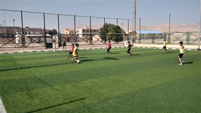 «مستقبل وطن» ينظم حفل نهائى لبطولة كرة القدم بالأقصر (صور)