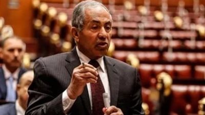 برلماني عن مشروع قانون تنظيم لجوء الأجانب: تقنين الأوضاع خلال 6 أشهر