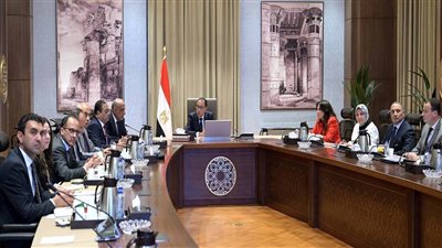 رئيس الوزراء يستعرض موقف مشروعات الطاقة الجديدة والمتجددة ضمن رؤية 2040 