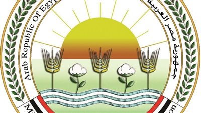 تفاصيل ضبط كميات كبيرة من تقاوي القمح المغشوشة بمحافظة البحيرة 