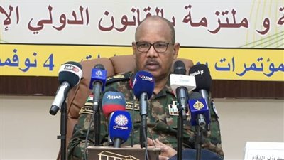 عضو مجلس السيادة السوداني: قناصين من 13 دولة مع الدعم السريع