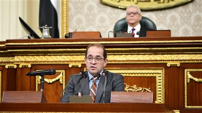 وزير المالية فى مجلس النواب بعد «١٠٠ يوم عمل».. تعرف على التفاصيل 