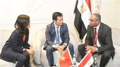 مصر وفيتنام تتفقان على تشكيل مجموعة عمل لوضع خارطة للتعاون بعدة مجالات 