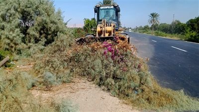 رفع 12 طن مخلفات خلال حملة تهذيب الأشجار غرب الأقصر (صور)
