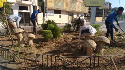 زراعة أشجار زينة بميادين وشوارع الأقصر ضمن مبادرة «100 مليون شجرة»