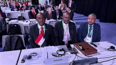 رغم الحرب.. الشرطة السودانية تشارك في الجمعية العامة للإنتربول