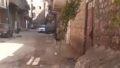 محافظ المنيا يستجيب لشكاوى الأهالي ويقرر إزالة نقطة تجمع القمامة