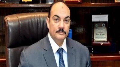 نائب رئيس «المؤتمر»: مصر ماضية في طريق التنمية والشائعات ليست بجديدة عليها 