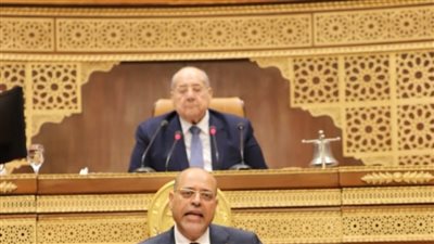 وزير العمل: إغلاق 14 شركة وهمية لإلحاق العمالة بالخارج