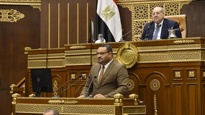 مجلس الشيوخ يناقش ملف الهجرة غير الشرعية وخلق فرص عمل للشباب 