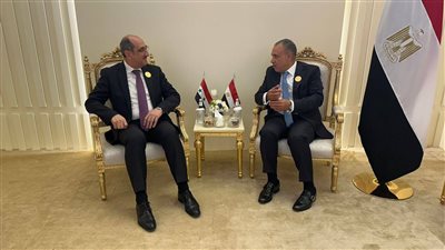 وزير الخارجية يؤكد موقف بلاده الداعم لسيادة ووحدة سوريا