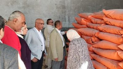 «الزراعة» تتابع المحاصيل الشتوية ومنظومة الأسمدة في الإسكندرية 