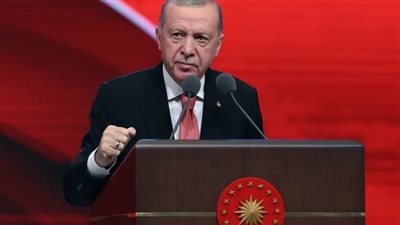 أردوغان: يجب أن تقود الدول الإسلامية الخطوات لعزل إسرائيل دوليا 