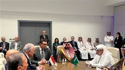 وزير الإسكان يبحث مع المستثمرين السعوديين التحديات التي تواجههم بسوق العقار المصري 