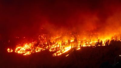 هل يؤثر الذكاء الاصطناعي في البيئة بشكل سلبي؟