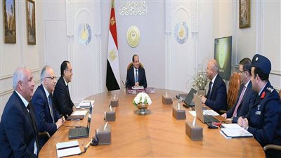 السيسي يوجه بتكثيف العمل في المشروعات التنموية بمحافظة الوادي الجديد 