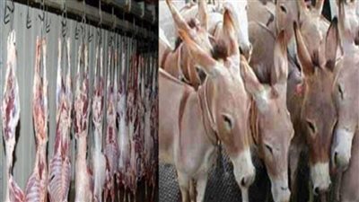 كشف تفاصيل العثور على حمير مذبوحة داخل قطعة أرض بالقليوبية