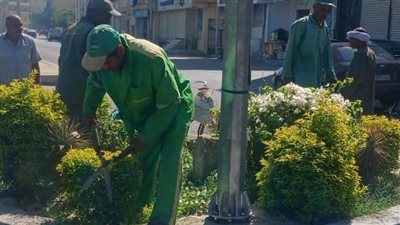 «مدينة الأقصر» تواصل استعدادها للموسم السياحي برفع كفاءة الأشجار بالميادين العامة