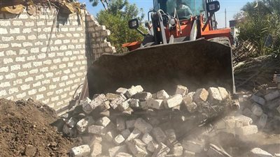 «مدينة الزينية» تشن حملات متنوعة لنظافة الشوارع وإزالة التعديات بالأقصر