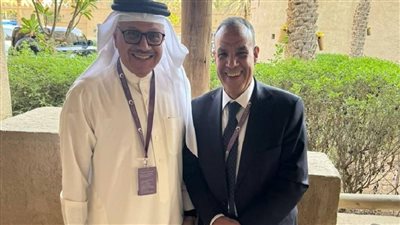 وزير الخارجية يبحث مع نظيره البحريني سبل التعاون وتطورات الأوضاع بغزة ولبنان 