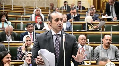 وزير الشؤون النيابية: لجنة الفصل بطلبات اللجوء تحرص على حماية الأمن القومي