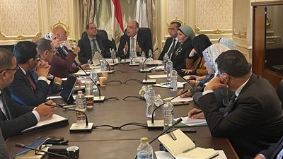 وكيل «مشروعات النواب» لوزير المالية: جزء من ثقافة المصريين أنكم وزارة للجباية