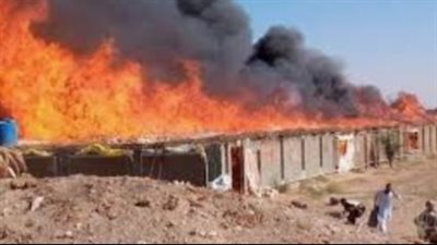 تفاصيل اندلاع حريق داخل مزرعة دواجن بالفيوم 