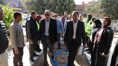 محافظ المنيا يشهد تسليم 10 أكشاك للأسر الأكثر احتياجًا بمركز أبوقرقاص