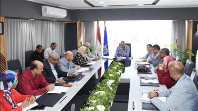 محافظ أسوان يشدد على زيادة وتيرة العمل لتنفيذ المشروعات المدرجة بالخطة الاستثمارية 