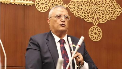 برلماني يطالب بوقفة وطنية جادة أمام الشائعات التي تتعرض لها مصر 