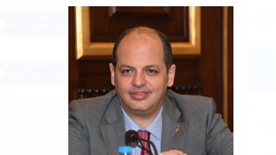 “برلماني”: قانون لجوء الأجانب يهدف إلى تنظيم أوضاع اللاجئين في مصر