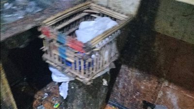 إعدام طن مواد غذائية وعصائر متنوعة وتحرير 196 محضرا بالدقهلية