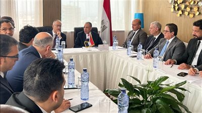 وزير الخارجية يبحث مع رجال أعمال كونجوليين سبل تعزيز التعاون الاقتصادي والتجاري 