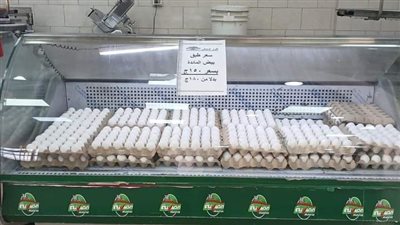 «تموين الأقصر» توفر بيض المائدة في المجمعات الاستهلاكية بـ150 جنيه