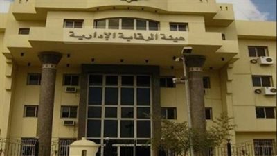 «الرقابة الإدارية» تضبط واحدة من أكبر المنصات العالمية لاختراق البيانات والإحتيال الإلكتروني