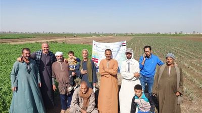 «الإرشاد الزراعي» تنظم أكثر من 150 ندوة إرشادية وحقلية في جميع المحافظات