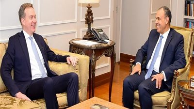 وزير الخارجية: مصر ترفض أية مساع تستهدف تصفية القضية الفلسطينية