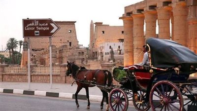 محافظ الأقصر يصدر قرارات هامة لوقف فوضى الحنطور بالمدينة