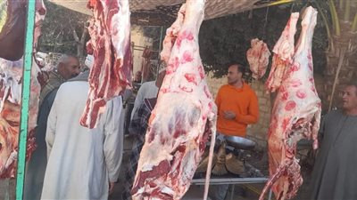 محافظ المنيا: حملات تموينية لمتابعة الأسواق والمخابز البلدي 