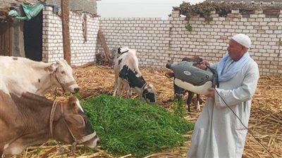 «بيطرى المنيا» تكشف إجمالي الخدمات المقدمة خلال القوافل المجانية 