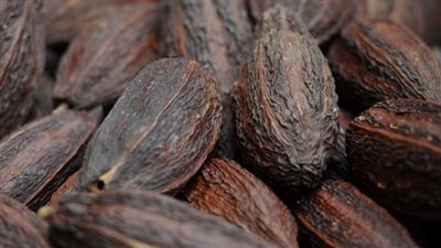 كيف يحمي الكاكاو من الآثار السلبية للإجهاد؟