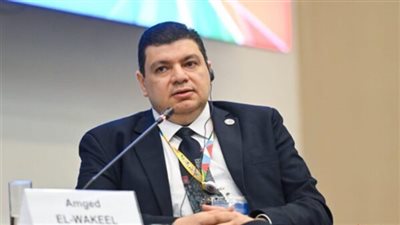 المحطات النووية: محطة الضبعة توفر للدولة 7 مليارات متر من الغاز الطبيعى سنويا