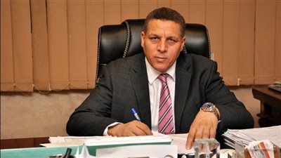 برلماني: مصر بتوجيهات السيسي حريصة على إزالة العقبات أمام الاستثمارات الخاصة 