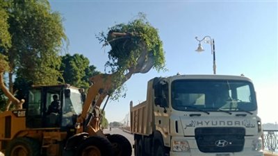 «مدينة أرمنت» تواصل أعمال تقليم الأشجار ونظافة الشوراع غرب الأقصر