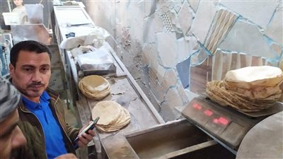 ضبط 35 مخالفة خلال حملة مكبرة على مخابز 5 قرى بالمحلة