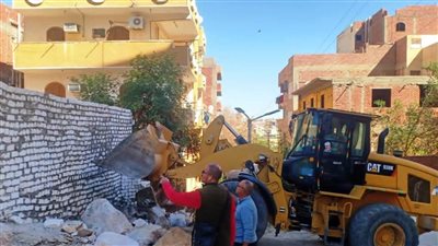 إسماعيل كمال: إزالة 125 حالة تعد فى أسوان 